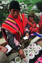 Andean cosmovision of the Kallawaya