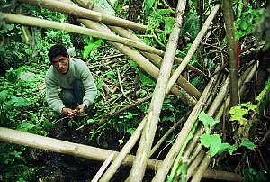 Andean cosmovision of the Kallawaya