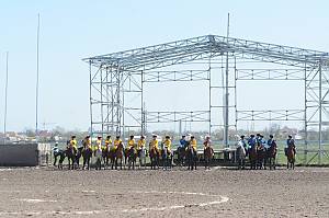 Kok boru, traditional horse game