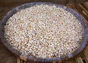 Nsima, culinary tradition of Malawi