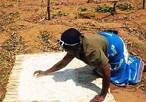 Nsima, culinary tradition of Malawi
