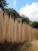 Artisanal processes and plant fibers techniques for talcos, crinejas and pintas weaving of the pinta’o hat