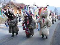 Feathered Korants, Cirkulane