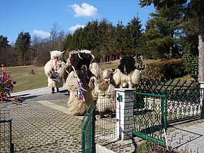 Door-to-door rounds of Kurenti