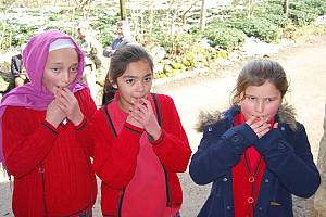 Whistled language