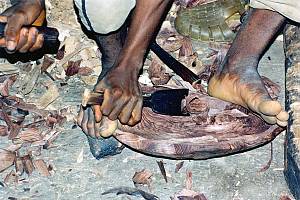 Woodcrafting knowledge of the Zafimaniry