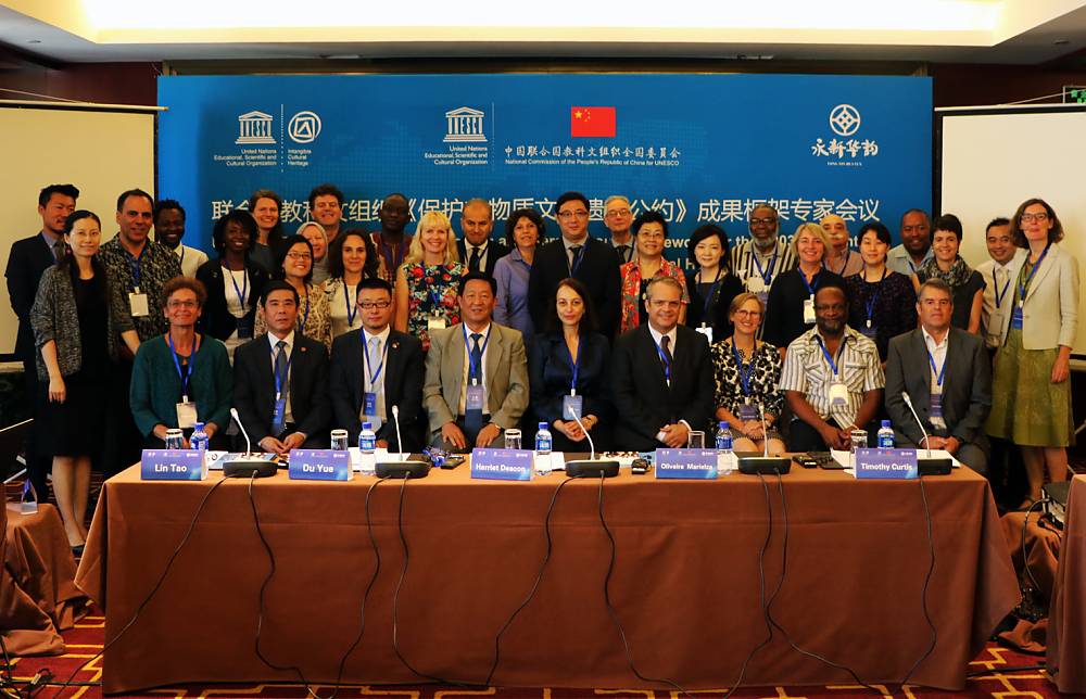 Opening of the expert meeting on developing an overall results framework for the 2003 Convention