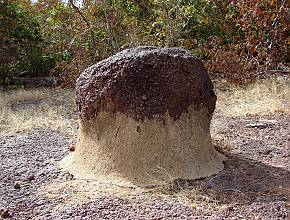 La Charte du Mandén, proclamée à Kouroukan Fouga