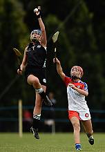 Hurling