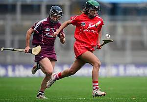 Le hurling