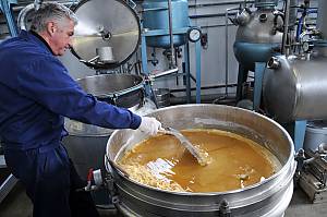 The skills related to perfume in Pays de Grasse: the cultivation of perfume plants, the knowledge and processing of natural raw materials, and the art of perfume composition