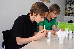 The skills related to perfume in Pays de Grasse: the cultivation of perfume plants, the knowledge and processing of natural raw materials, and the art of perfume composition