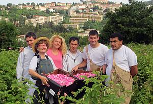 The skills related to perfume in Pays de Grasse: the cultivation of perfume plants, the knowledge and processing of natural raw materials, and the art of perfume composition