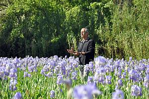 The skills related to perfume in Pays de Grasse: the cultivation of perfume plants, the knowledge and processing of natural raw materials, and the art of perfume composition