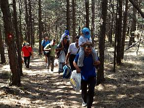 Picking of iva grass on Ozren mountain