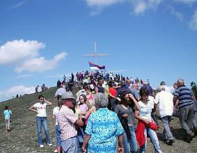 La cueillette de la germandrée sur le mont Ozren