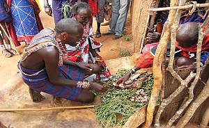 Enkipaata, Eunoto and Olng'esherr, three male rites of passage of the Maasai community