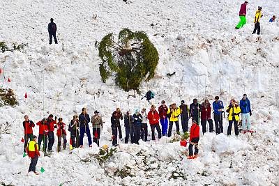 Avalanche risk management Read more on the element