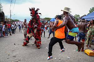 Les expressions rituelles et festives de la culture congo