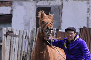 Traditional spring festive rites of the Kazakh horse breeders