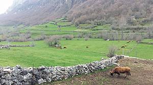 Art of dry stone construction, knowledge and techniques
