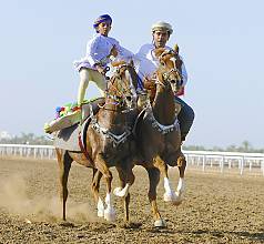 Horse and camel Ardhah