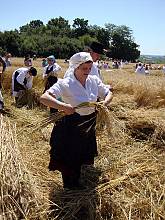 Međimurska popevka, a folksong from Međimurje
