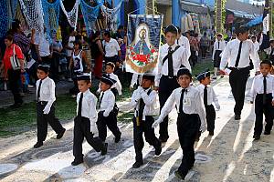 La Romería (the pilgrimage): ritual cycle of 'La llevada' (the carrying) of the Virgin of Zapopan