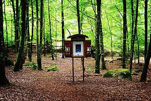 Le programme « Terre des légendes »pour promouvoir et redynamiser l’art du conte dans le comté de Kronoberg