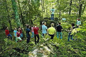 Land-of-Legends programme, for promoting and revitalizing the art of storytelling in Kronoberg Region Read more on the element