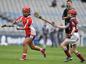 Le hurling