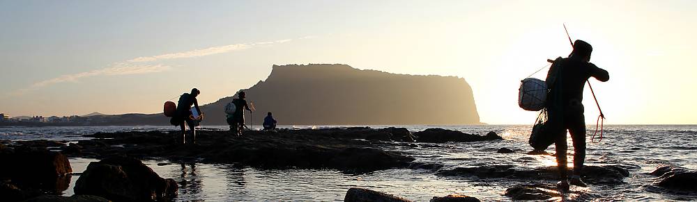 Jeju Haenyo 