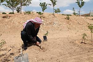 Practices and craftsmanship associated with the Damascene rose in Al-Mrah
