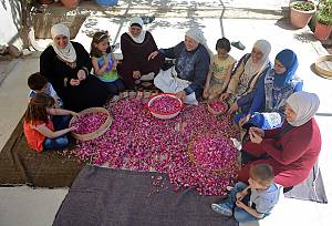 Practices and craftsmanship associated with the Damascene rose in Al-Mrah
