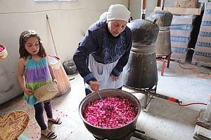 La rosa de Damasco y las prácticas artesanales de la localidad de Al-Mrah