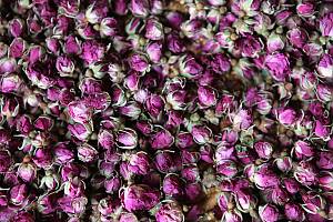 Practices and craftsmanship associated with the Damascene rose in Al-Mrah