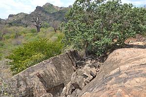 Success story of promoting traditional foods and safeguarding traditional foodways in Kenya