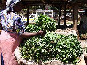 Success story of promoting traditional foods and safeguarding traditional foodways in Kenya