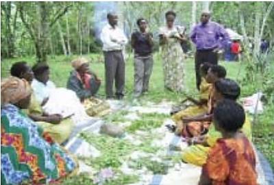 A herbalist class run by PROMETRA in Buyijja forest, Uganda