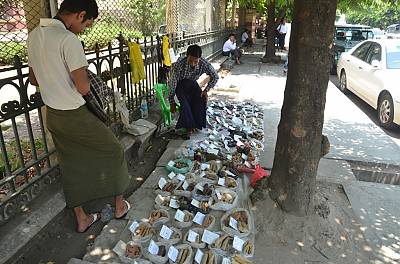 Sellers display traditional medicines by the roadside in Yangon, Myanmar