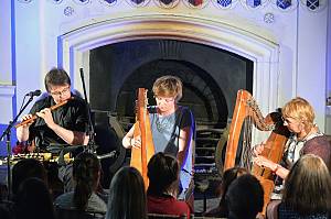 Irish harping