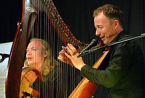 La pratique de la harpe irlandaise