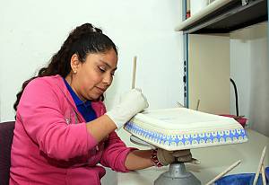 Artisanal talavera of Puebla and Tlaxcala (Mexico) and ceramics of Talavera de la Reina and El Puente del Arzobispo (Spain) making process