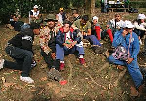 Biocultural programme for the safeguarding of the tradition of the Blessed Palm in Venezuela