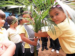 Biocultural programme for the safeguarding of the tradition of the Blessed Palm in Venezuela