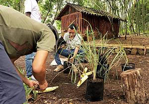 Safeguarding strategy of traditional crafts for peace building