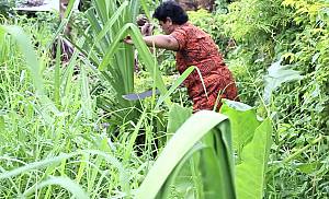 'Ie Samoa, fine mat and its cultural value