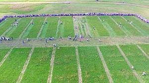 Grass mowing competition custom in Kupres