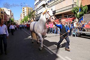 Wine Horses