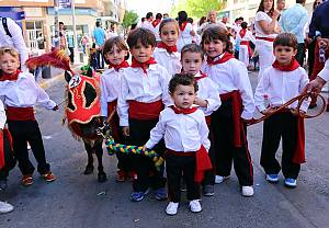 Wine Horses
